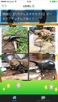 カブトムシ・クワガタ　昆虫図鑑　最強の昆虫ムシキング اسکرین شاٹ 1