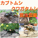 カブトムシ・クワガタムシ　最強昆虫図鑑　世界最大のカブトムシ　ヘラクレスも掲載　最強昆虫ムシキング APK