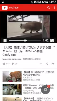 動物 面白生態 For Android Apk Download