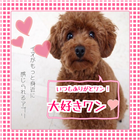 犬好きによるイヌ好きの為のアプリ♪いぬのきもちわかるかな？ icon