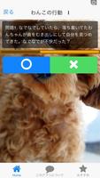 犬好きによるイヌ好きの為のアプリ♪いぬのきもちわかるかな？ اسکرین شاٹ 1
