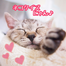 ねこ・猫・ネコゲーム にゃんにゃんゲーム 無料おすすめアプリ APK