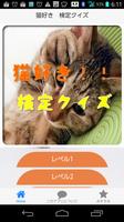 猫好き　検定クイズ Affiche