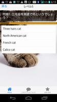 猫好き　検定クイズ screenshot 3