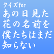 クイズforあの日見た花の名前を僕たちはまだ知らない