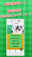 クイズ　猫の気持ち　～わかるかニャ？～　猫好き集まれ！！ 海報