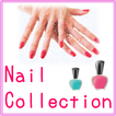 Nail Collection