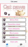 Cat paws　Photo collection poster