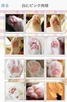 Cat paws　Photo collection screenshot 1
