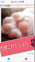 Cat paws　Photo collection screenshot 3