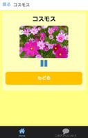 植物ずかん　絵・写真・音声で楽しい幼児向け無料図鑑アプリ capture d'écran 2