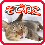 袖猫（そでねこ）動画まとめ