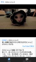 ぬこアニメ好きのための袖猫（そでねこ）動画まとめ capture d'écran 1
