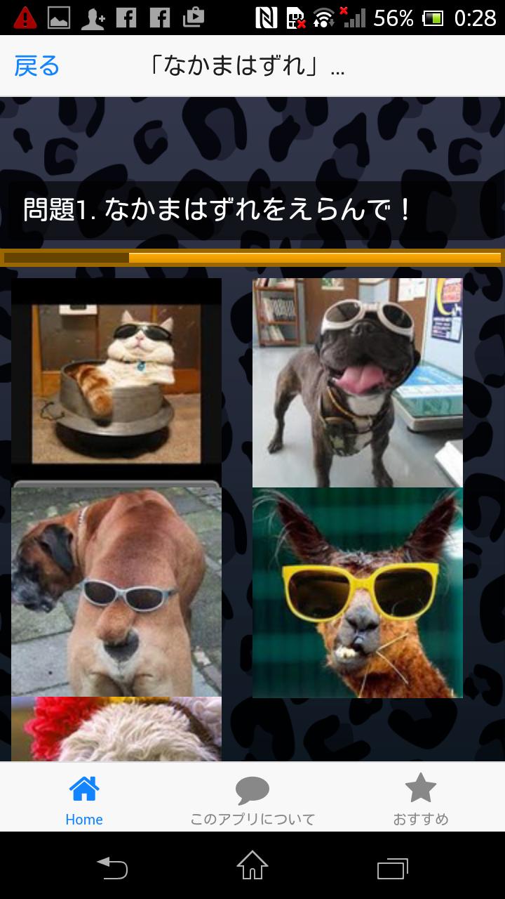 おもしろ どうぶつクイズ 爆笑 珍プレー 動物が面白い 子供 For Android Apk Download
