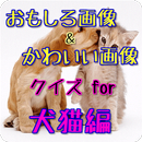 おもしろ画像＆かわいい画像クイズ for 犬猫編 APK