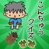 セミのクイズ 夏の人気昆虫はなんといってもセミ