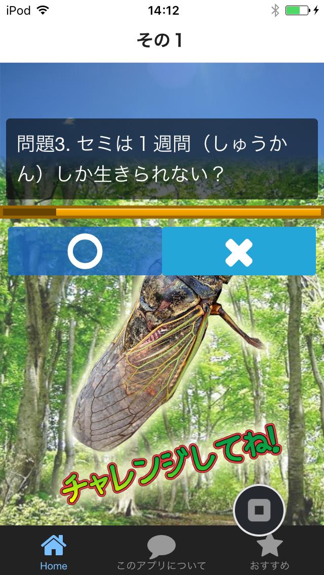 セミのクイズ 夏の人気昆虫はなんといってもセミ For Android Apk Download セミのクイズ 夏の人気昆虫はなんといってもセミ For Android Apk Download