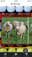 برنامه‌نما まちがいさがしクイズ牧場編馬牛羊ロディオ عکس از صفحه