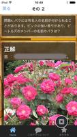 3 Schermata ガーデニングクイズ 初めてのバラ・艶やかな薔薇の世界