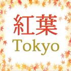 紅葉　東京 2014 иконка