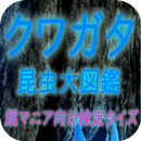 『クワガタ』昆虫大図鑑クイズ～超マニア向け検定クイズ～ APK