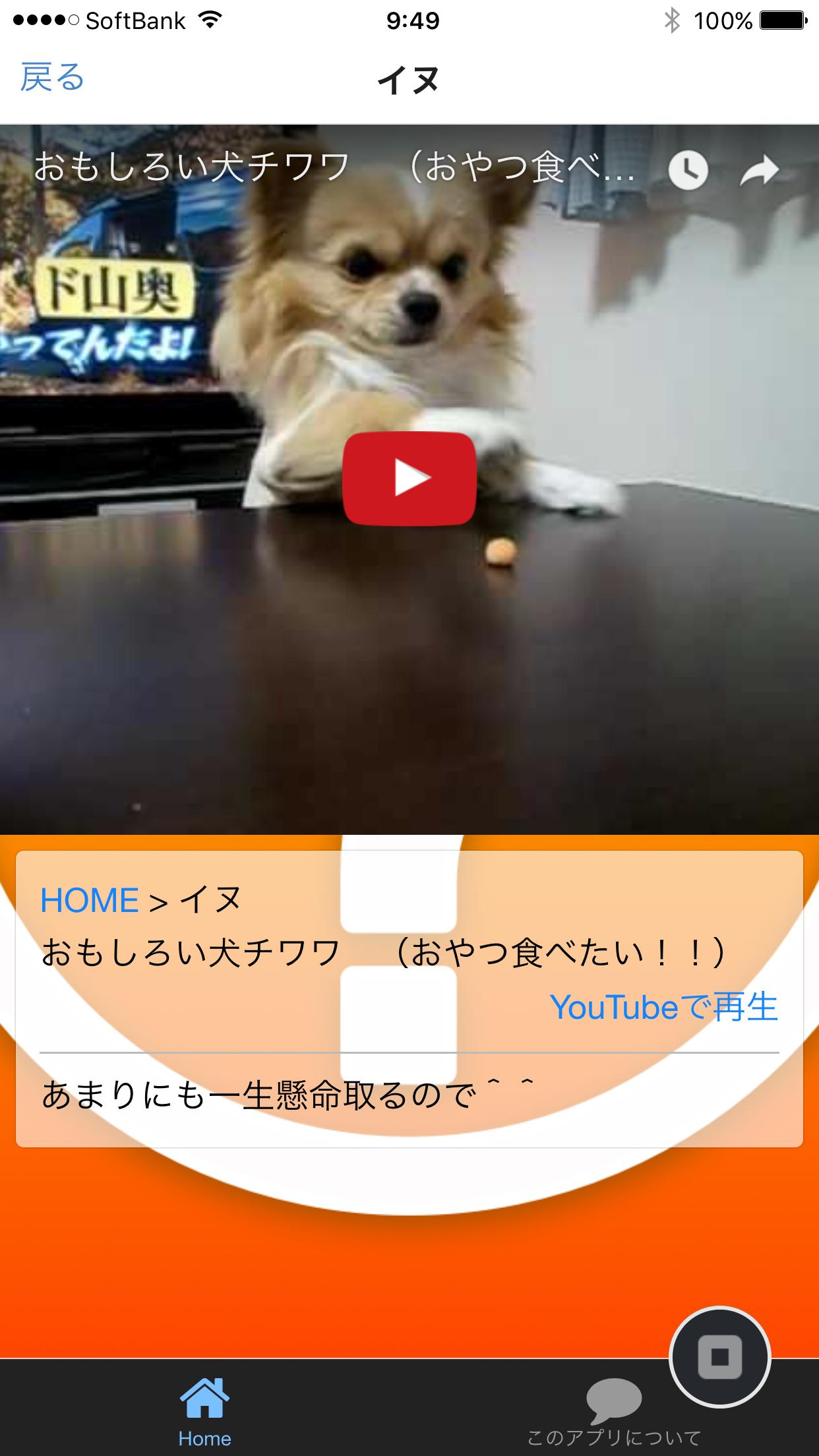 動物面白図鑑 For Android Apk Download