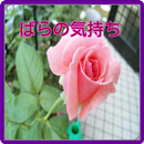 ばらの気持ち APK