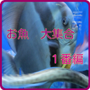 理科　小学生　お魚　博士 APK