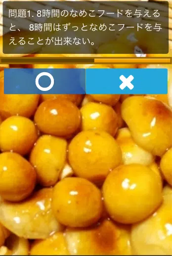 攻略法forおさわり探偵なめこ栽培キット ひまつぶしゲーム Para Android Apk Baixar