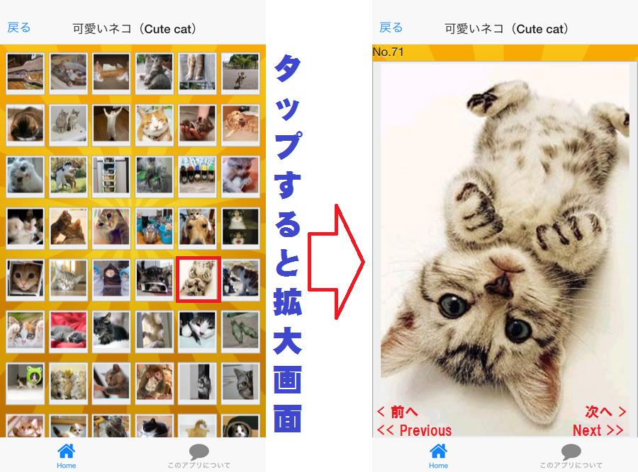 癒やし猫 Healing Cat 世界のsns画像 壁紙 For Android Apk Download