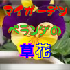 マイガーデンベランダの草花 APK