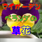 マイガーデンベランダの草花 icon