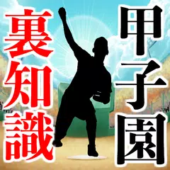甲子園 高校野球の裏知識~投手×野手×応援団 チアリーダー 吹奏楽部×速報~