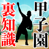 甲子園 高校野球の裏知識～投手×野手×応援団 チアリーダー 吹奏楽部×速報～