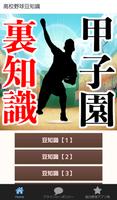 甲子園 高校野球の裏知識～投手×野手×応援団 チアリーダー 吹奏楽部×速報～ Affiche