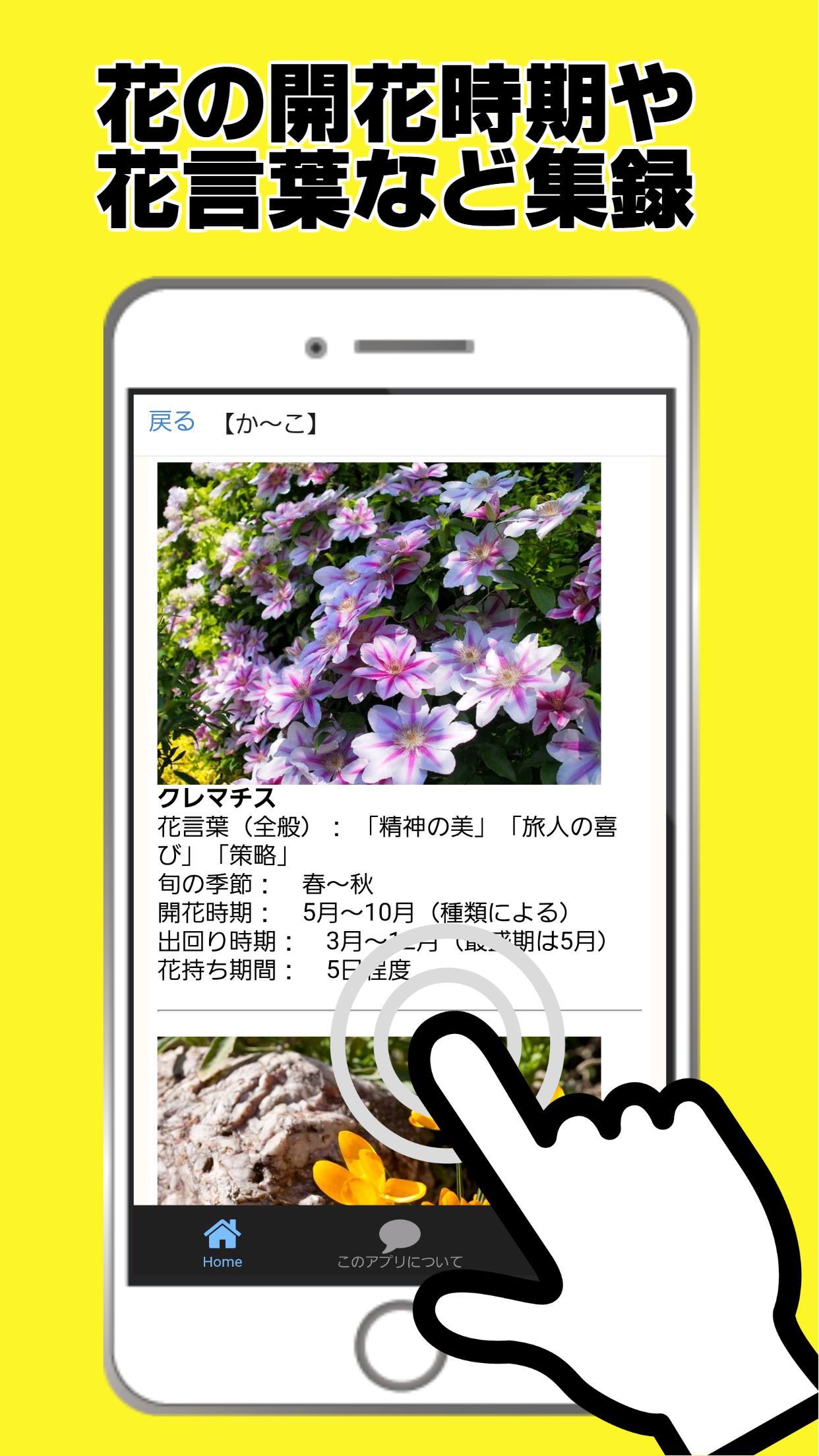 花図鑑 お花の名前写真調べる 植物図鑑アプリ 家庭菜園 花言葉 安卓下載 安卓版apk 免費下載