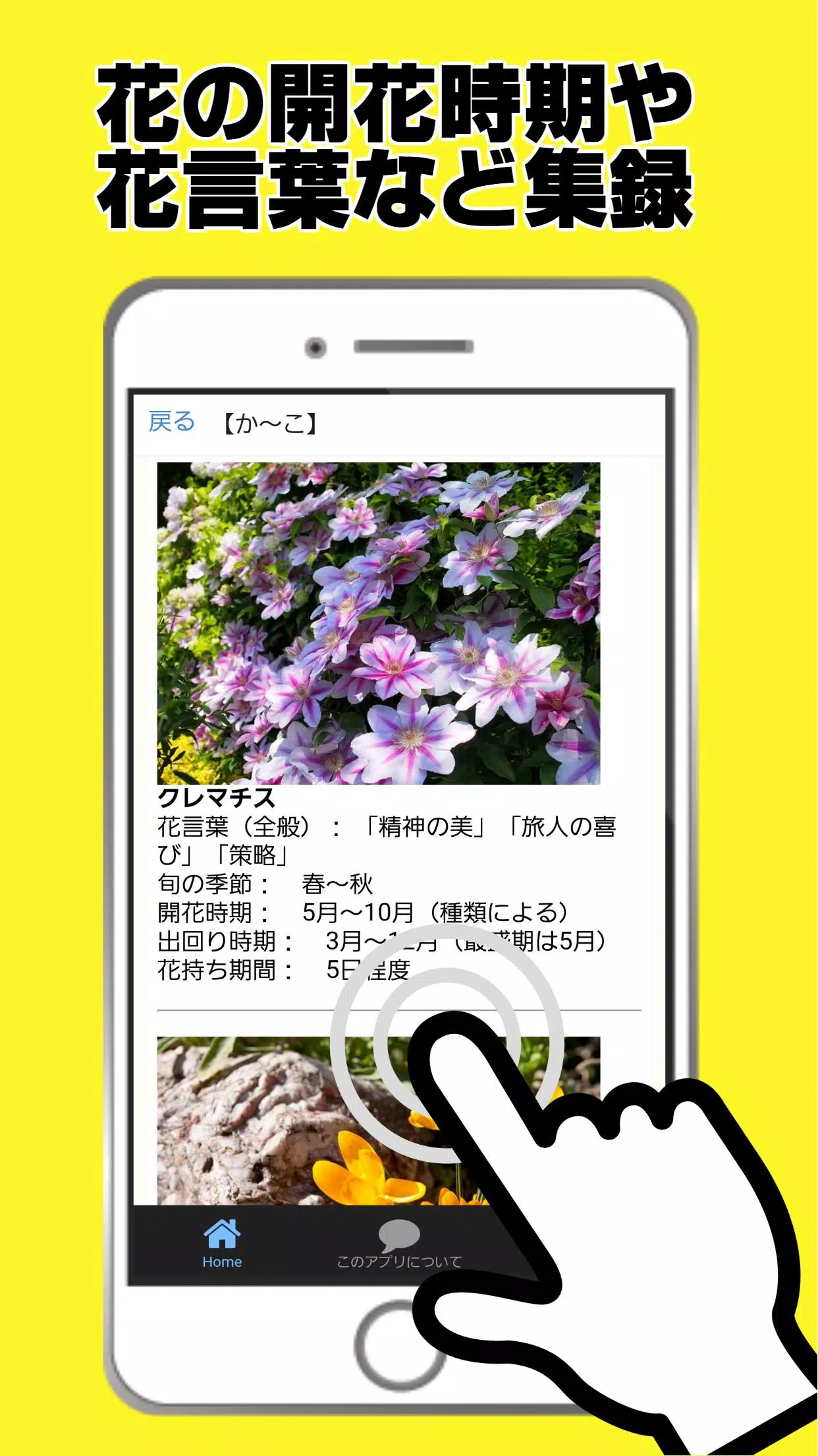 下載花図鑑 お花の名前写真調べる 植物図鑑アプリ 家庭菜園 花言葉 的安卓版本