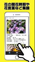 花図鑑～お花の名前 写真 調べる×植物図鑑アプリ×家庭菜園×花言葉～ screenshot 2