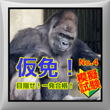 ゴリラでも受かる！仮免【運転免許学習】模擬試験！No.４ simgesi