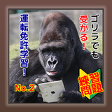 ゴリラでも受かる！【運転免許学習】練習問題！No.２ simgesi