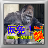 ゴリラでも受かる！仮免【運転免許学習】厳選問題！No.３ simgesi