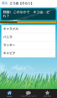 クイズforどうぶつの森 syot layar 1
