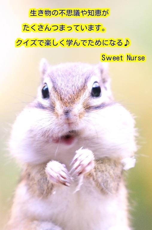 小学生向け理科 雑学クイズ 動物 昆虫生き物問題大全集アプリ For