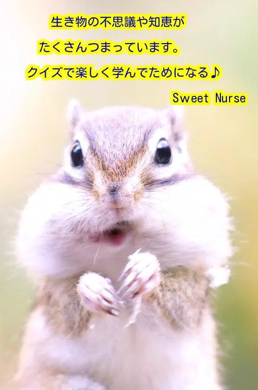 小学生向け理科 雑学クイズ 動物 昆虫生き物問題大全集アプリ Para Android Apk Baixar