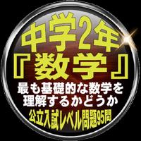 中学2年『数学』 最も基礎的な数学を理解するかどうか 公立入試レベル問題95問 海报