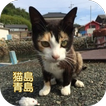 猫島 青島 写真集 Cat Photo collection