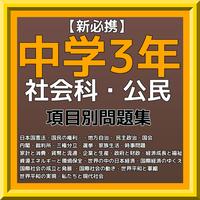【新必携】中学3年 『社会科・公民 』 問題集 poster