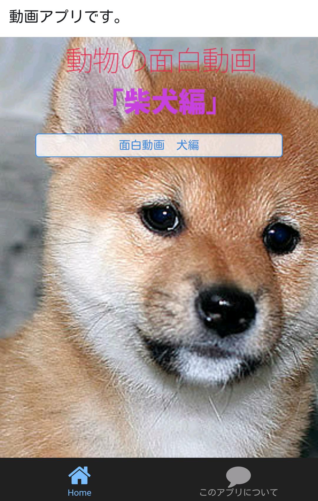 犬のおもしろ動画 For Android Apk Download