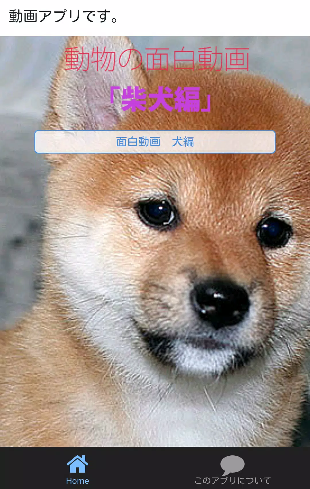 犬のおもしろ動画 Apk For Android Download