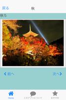 برنامه‌نما 日本の四季　春夏秋冬　癒しの無料写真集 عکس از صفحه